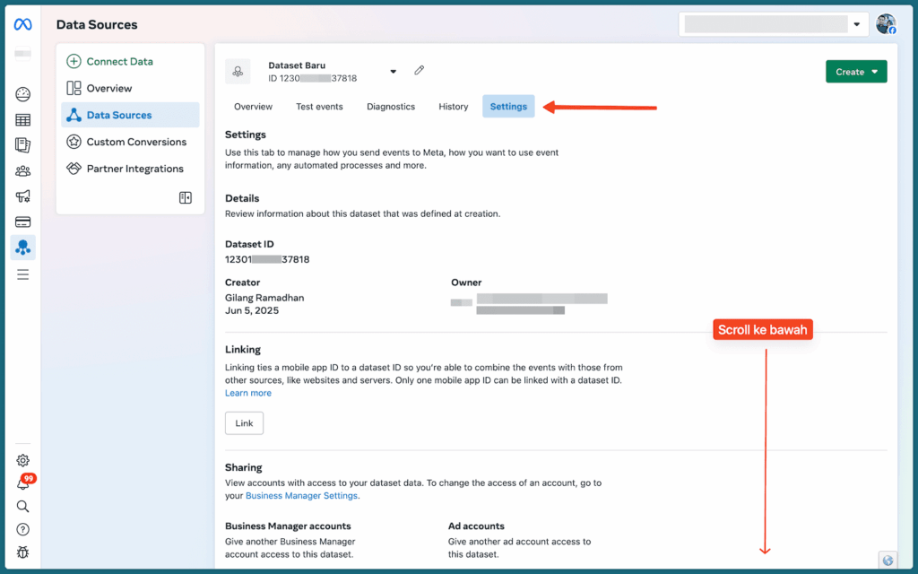 Bagian Conversions API di tab Settings